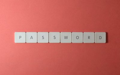 La prochaine innovation en matière de cybersécurité sera-t-elle de se passer des mots de passe ???
